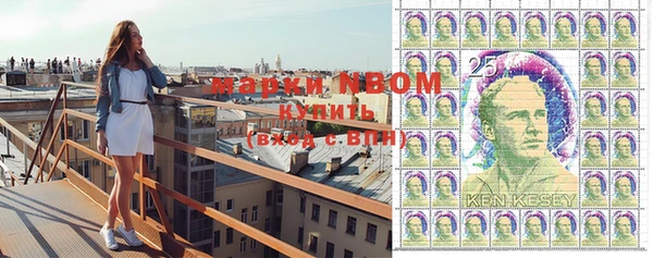 молекула духа Верхний Тагил