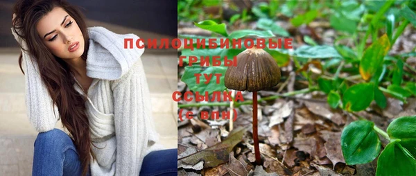 молекула духа Верхний Тагил