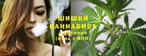 молекула духа Верхний Тагил