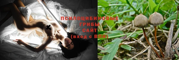 твердый Верея