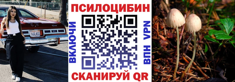 Галлюциногенные грибы мицелий  Выборг 