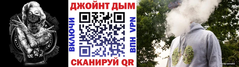 Конопля SATIVA & INDICA  где можно купить наркотик  Выборг 